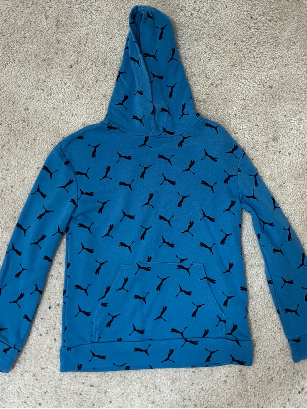 Puma Kids Blue Hoodie with Black Puma Logo Print
